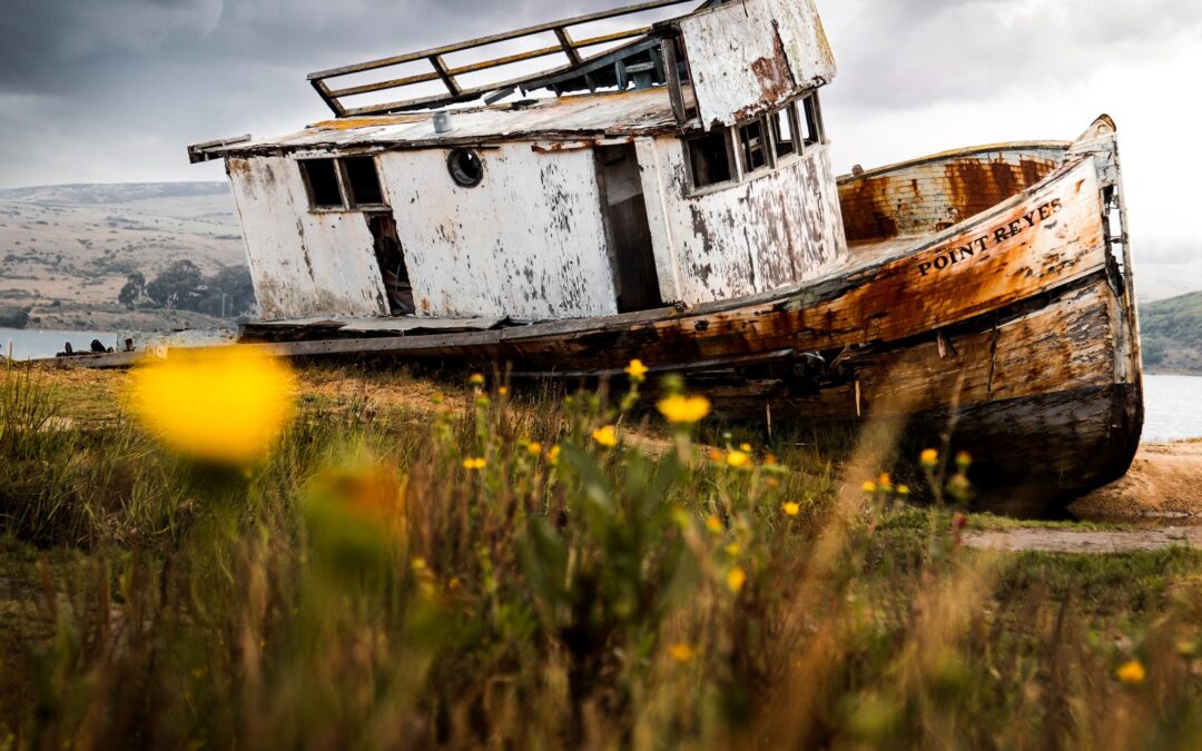 The Impact of Risk Memory Decay