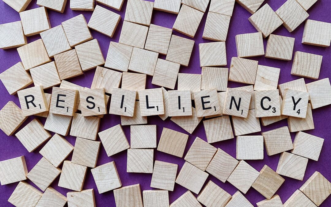 What Does it Mean to Be Risk Resilient?